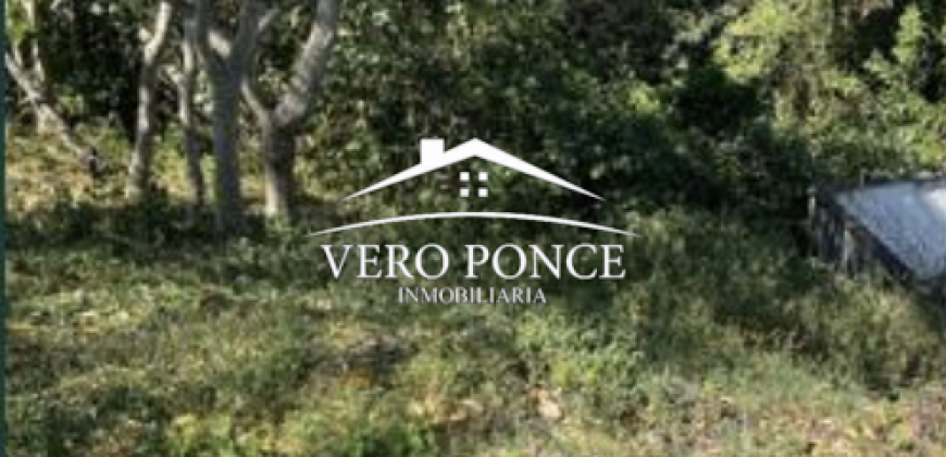 VENTA – TERRENO CAMPESTRE – 2501 051